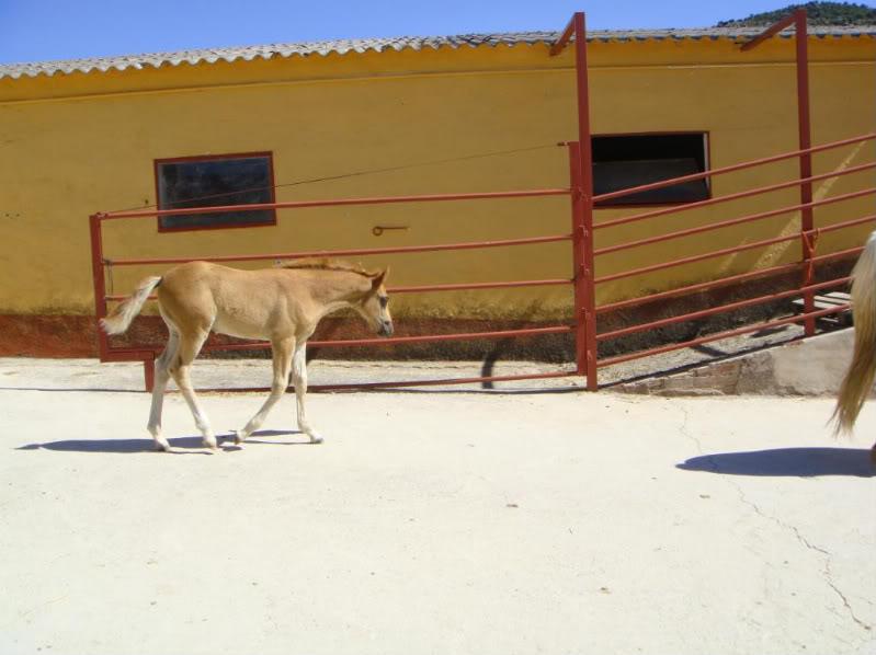 DSC01138-1.jpg