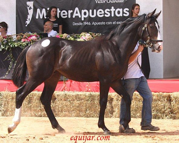 lote45-1.jpg
