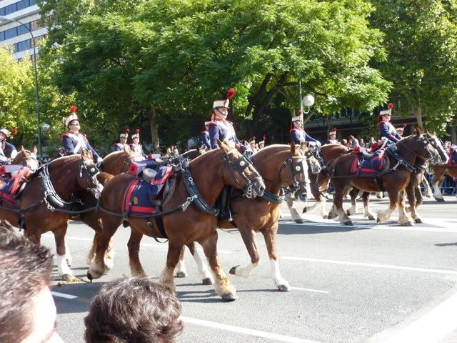 P1000662-1.jpg