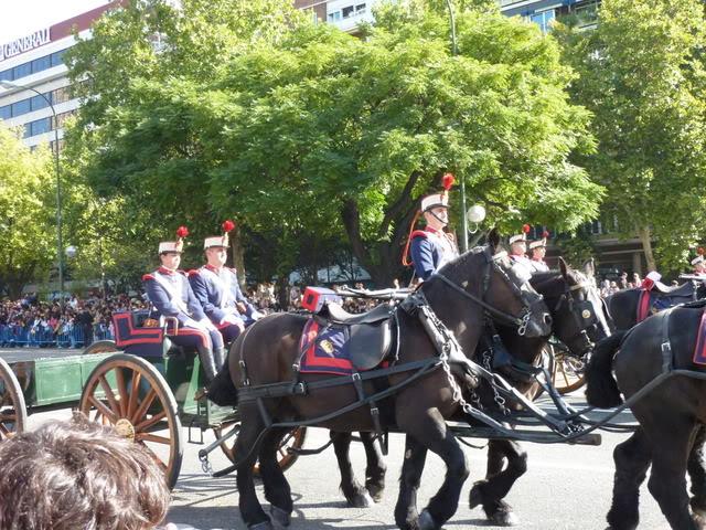 P1000664-1.jpg