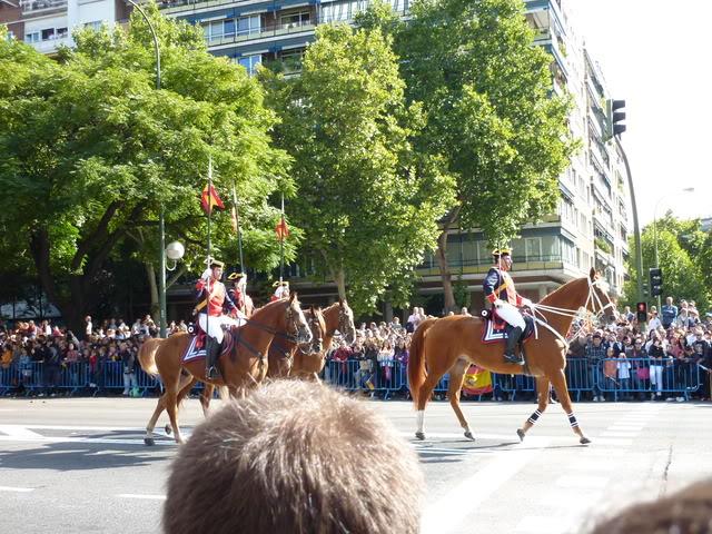 P1000667-1.jpg