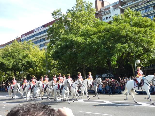 P1000668-1.jpg