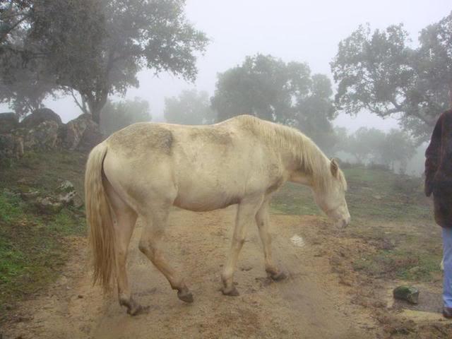 DSC01724-1.jpg