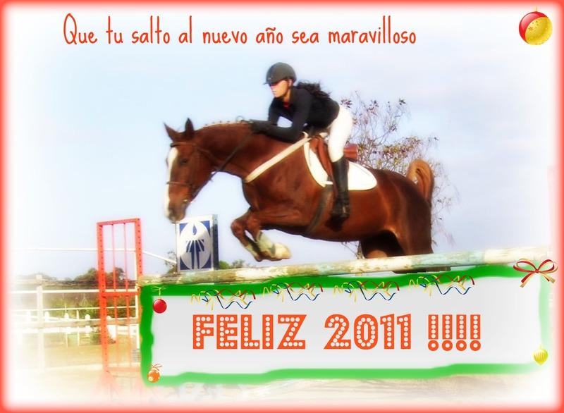 feliz2011s-1.jpg