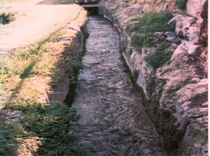 ACEQUIA-1.jpg