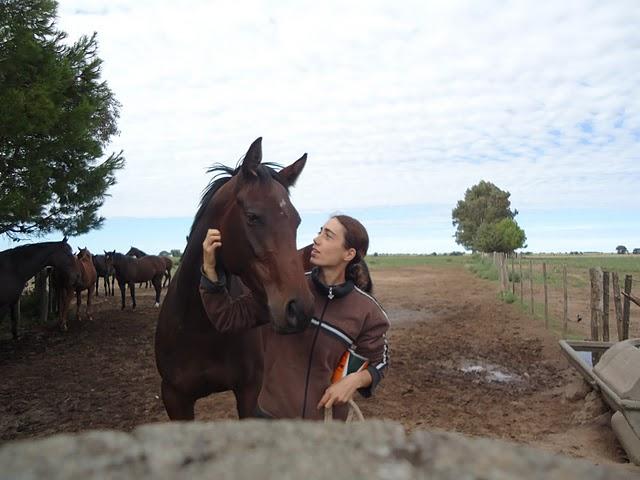 DSC06675JPG-1.jpg