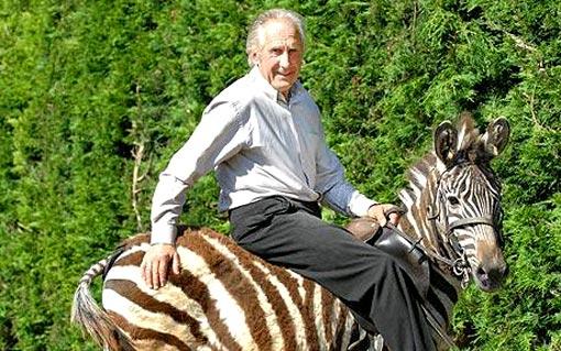billturner_riding_zebra-1.jpg