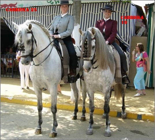 feria1-1.jpg