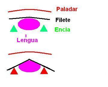 filetepaladar-1.jpg