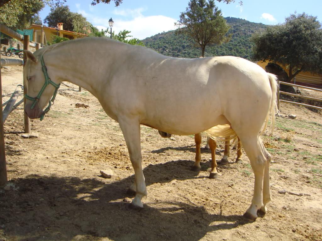 DSC01220-1.jpg
