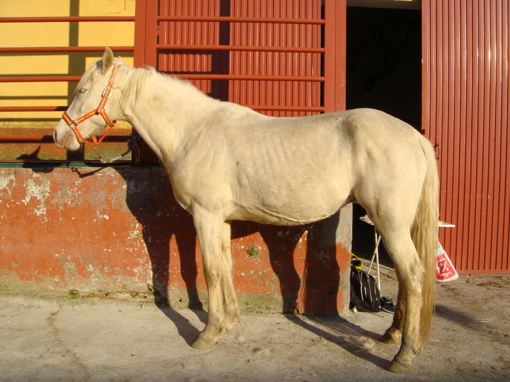 DSC01904-1.jpg