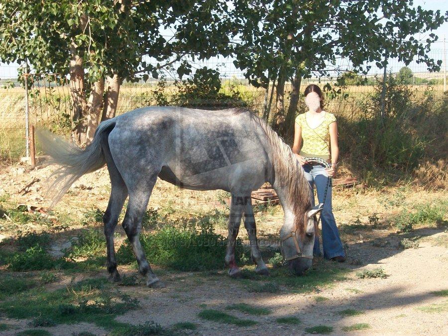 grazing_by_sylobed467unl-1.jpg