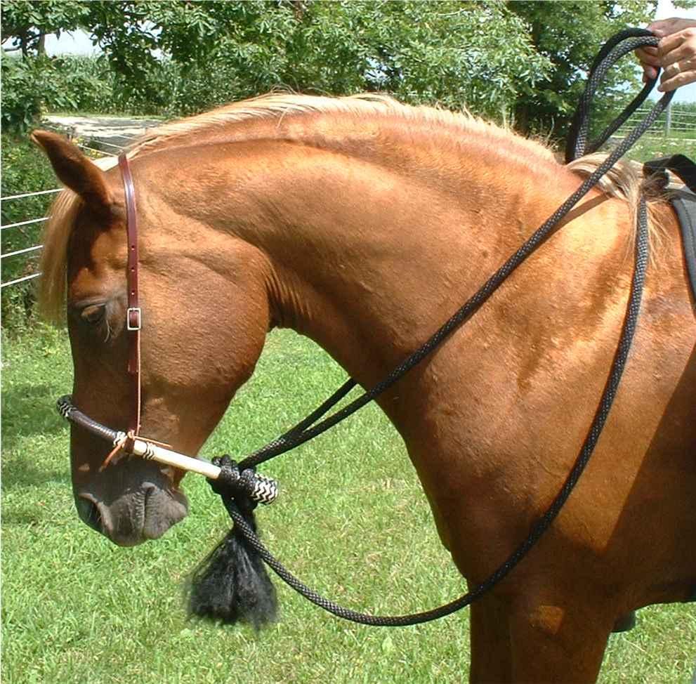 bosal-1.jpg