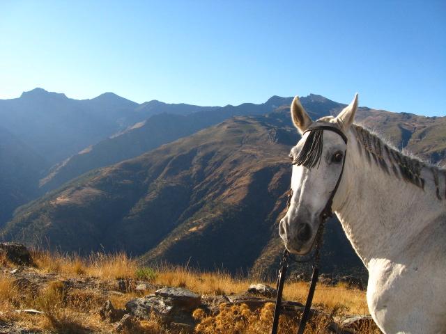 rutascaballoguejar5-1.jpg