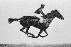 Muybridge_race_horse_animatedgif-1.jpg