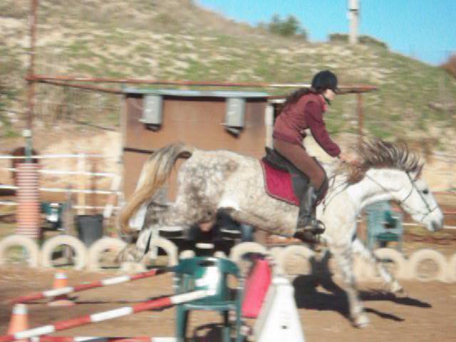 6526633779_4a29be18d8_z-1.jpg