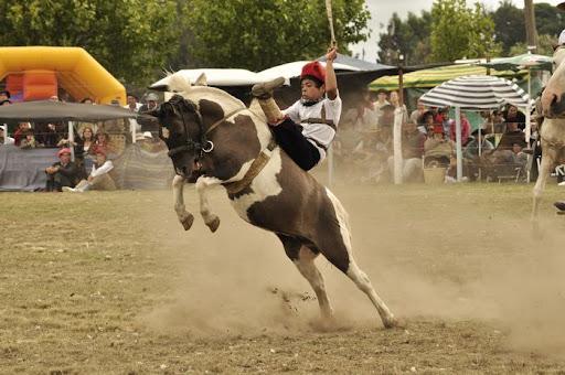 Jineteada20de20Clinas20y20Petisos20158JP-1.jpg