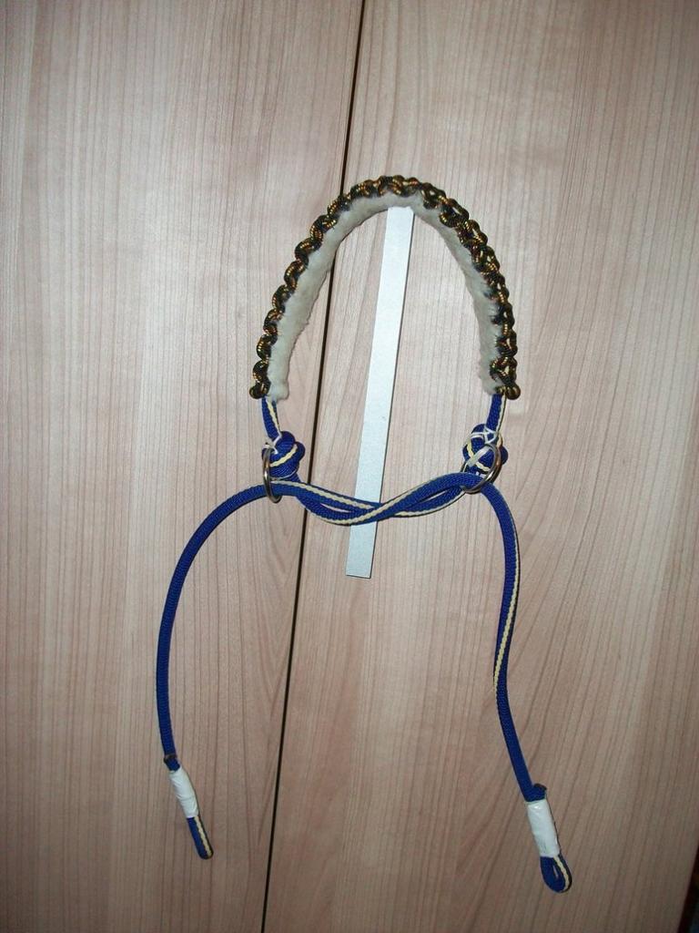 handmade_bitless_bridle_by_sylobed53odl5-1.jpg