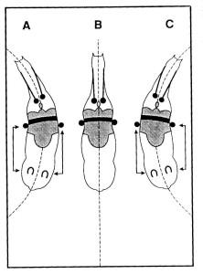 BendingDiagramfinalforwebsite222x300-1.jpg