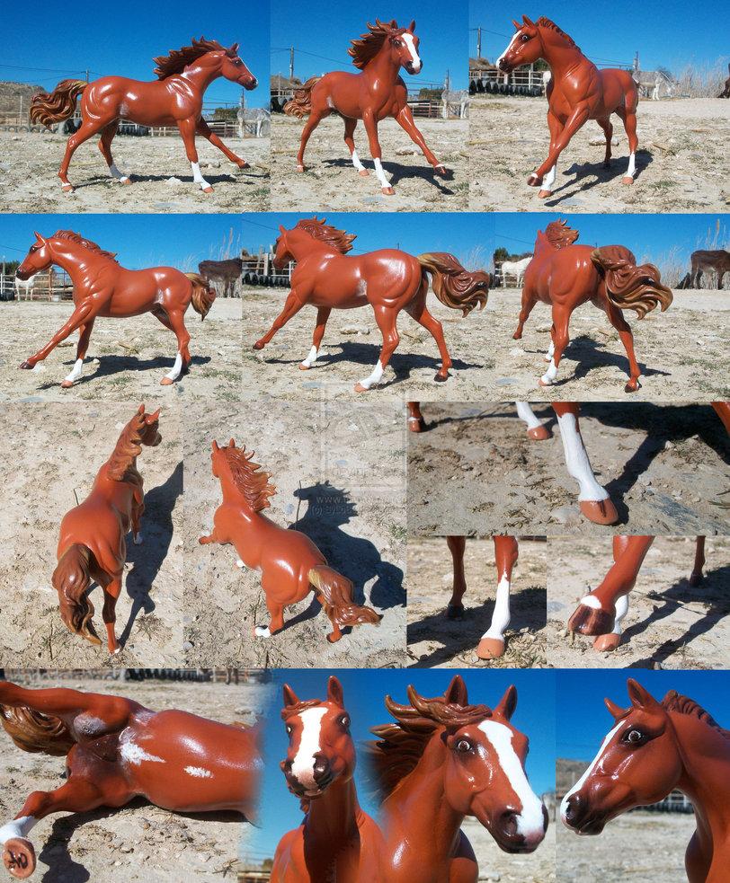 20__sabino_mare_by_sylobed4r2jy8-1.jpg