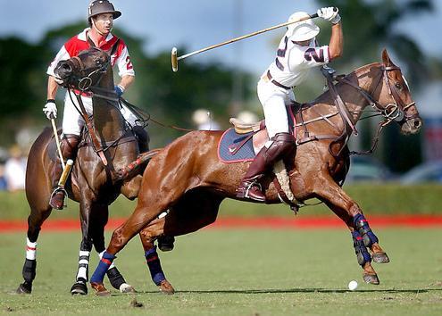 polo_deporte_aristocratico216215B15D2-1.jpg