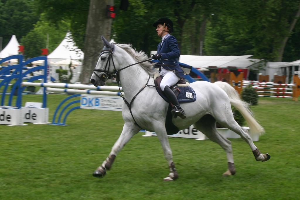 show_jumping_stock_010_by_luda_stockd51x-1.jpg