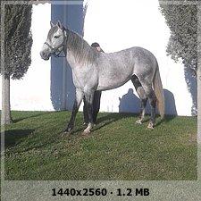 0f96d8ab7be280d821406308d021c2a3o-1.jpg