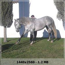 142cd1c4d01a5967cc0a0b097a94183ao-1.jpg