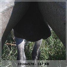 19712080d60b7bc6785351d0ced7aaa2o-1.jpg