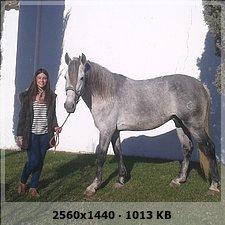 4faaa636feca4a712bbbf63168c709e1o-1.jpg
