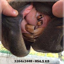 794cf26b7a4d6b49ea64804d7590beb1o-1.jpg