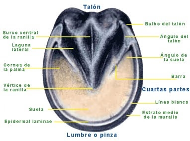 1637221151329.png