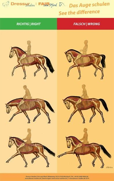 1750872360532.png