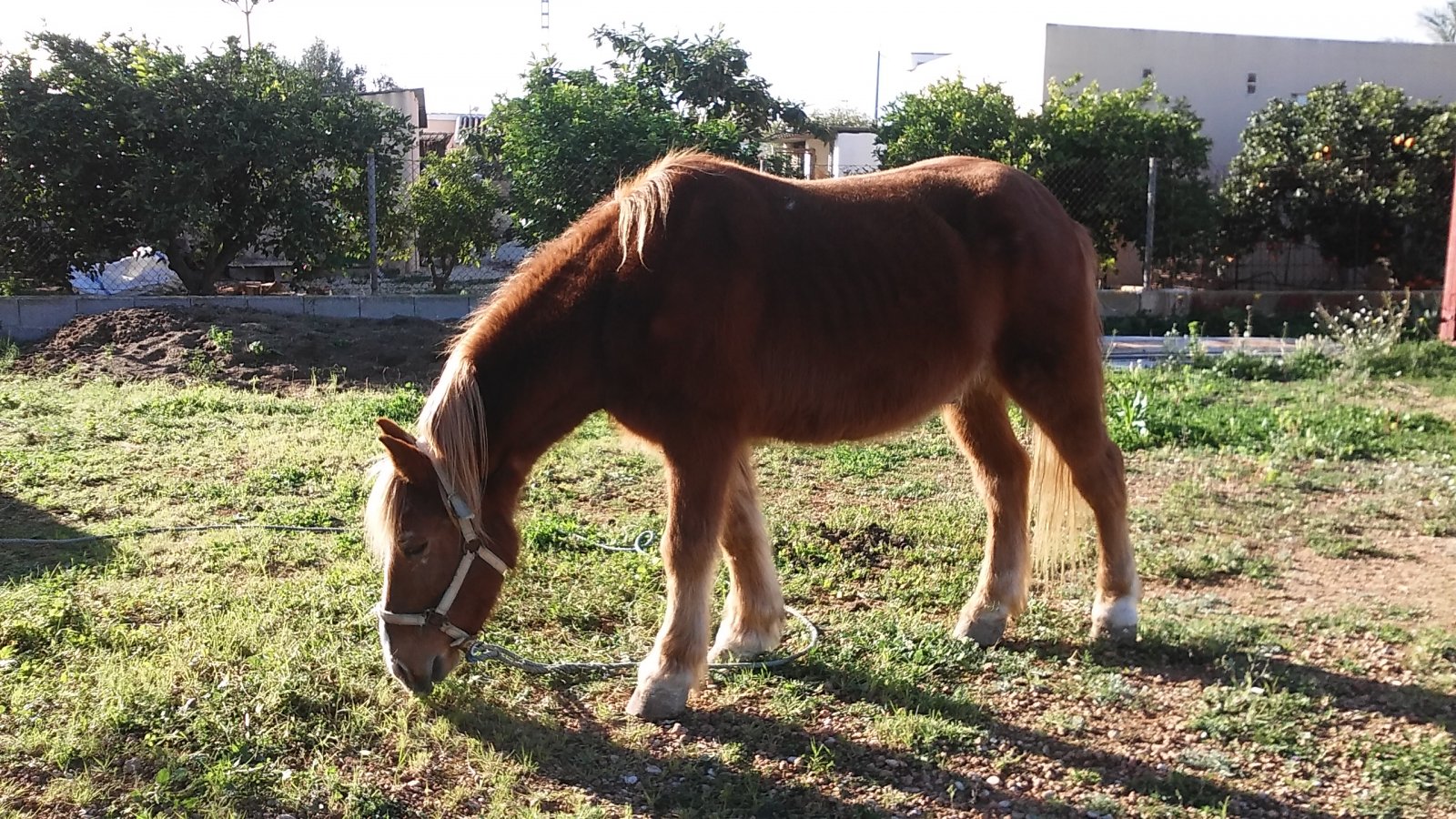 20160117_154127.jpg