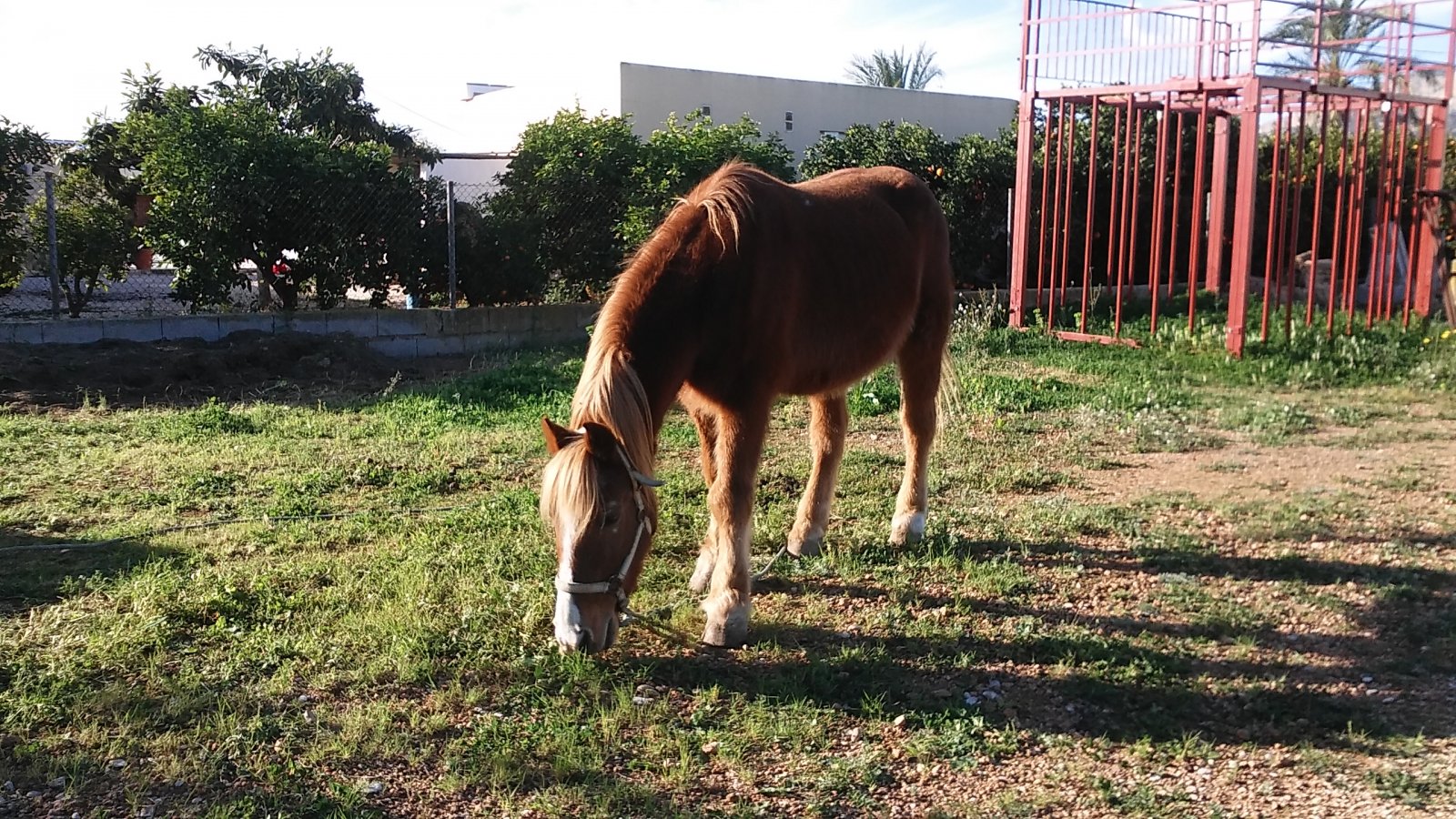 20160117_154218.jpg