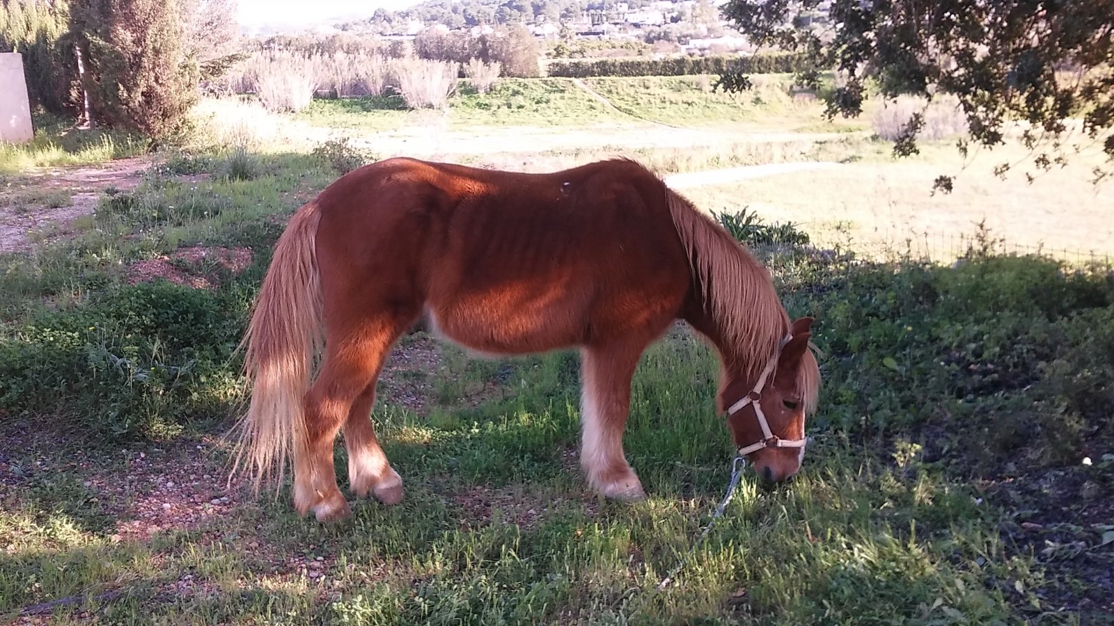 20160117_154828.jpg
