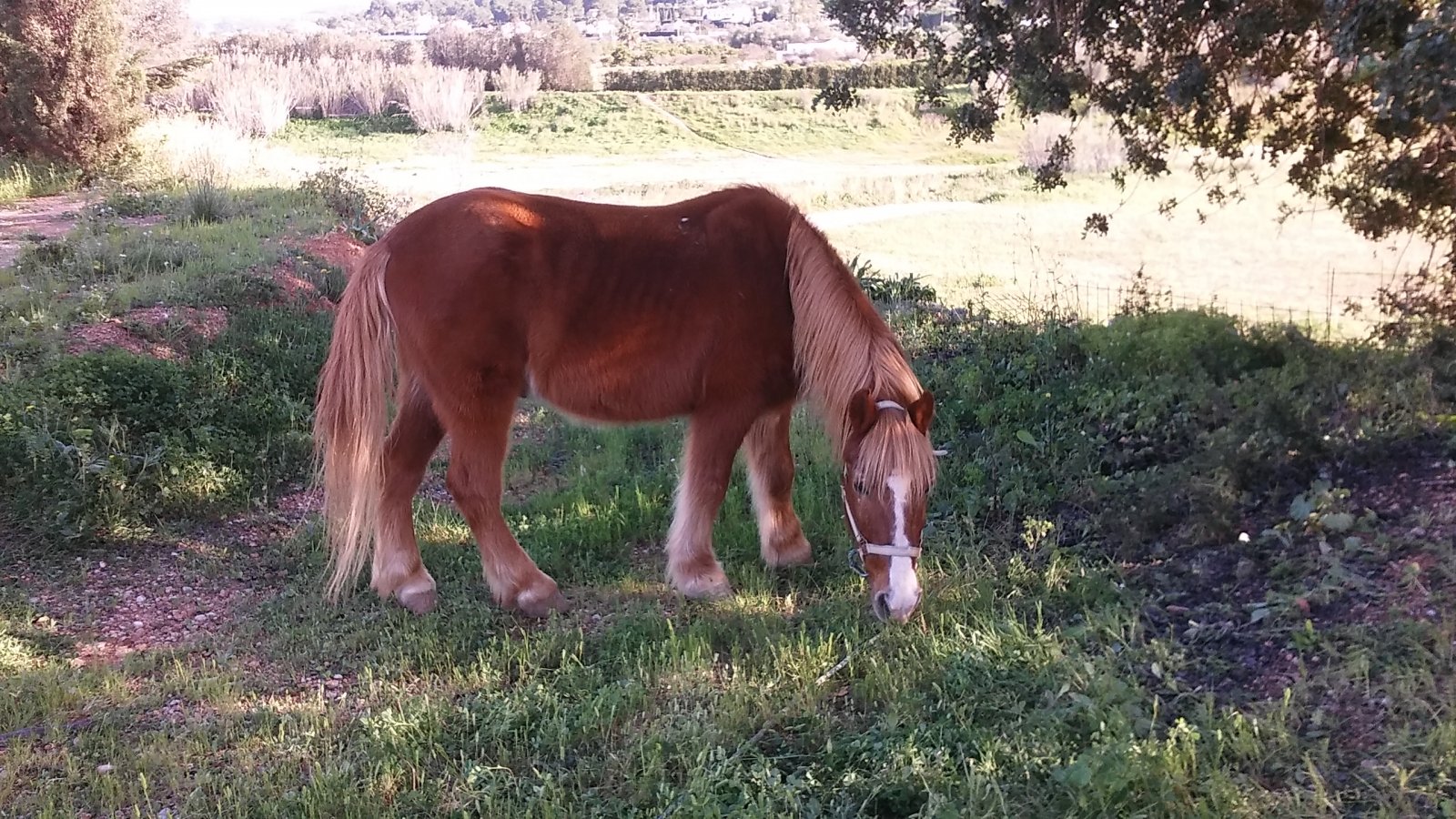 20160117_154848.jpg