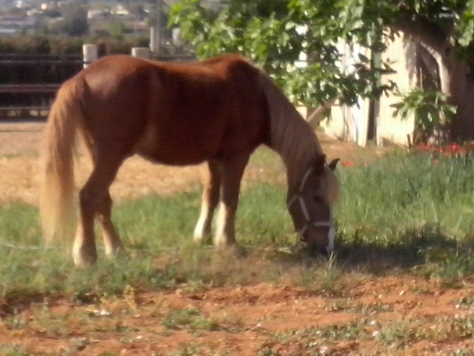 CAM00090.jpg
