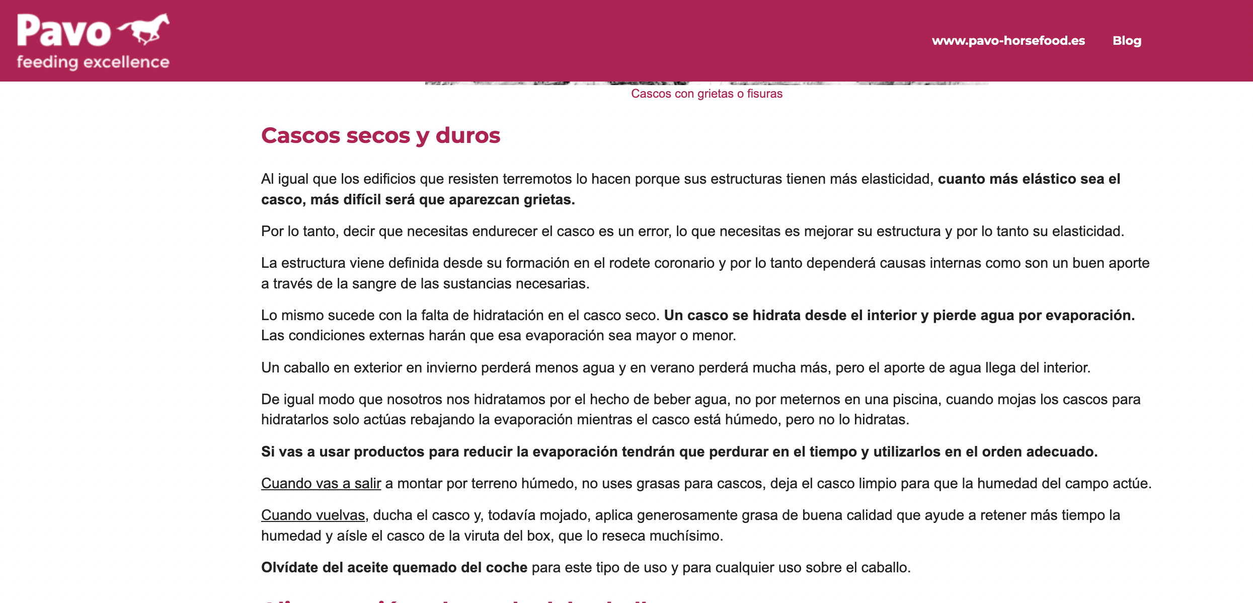 Captura de pantalla 2023-01-30 a las 10.19.12.png