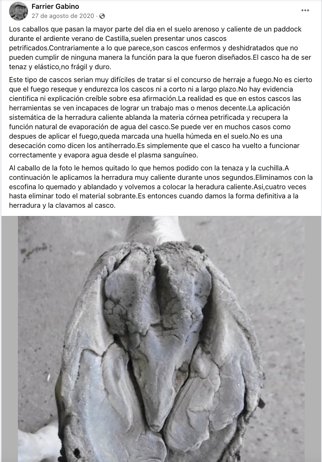 Captura de pantalla 2023-01-30 a las 10.21.37.png