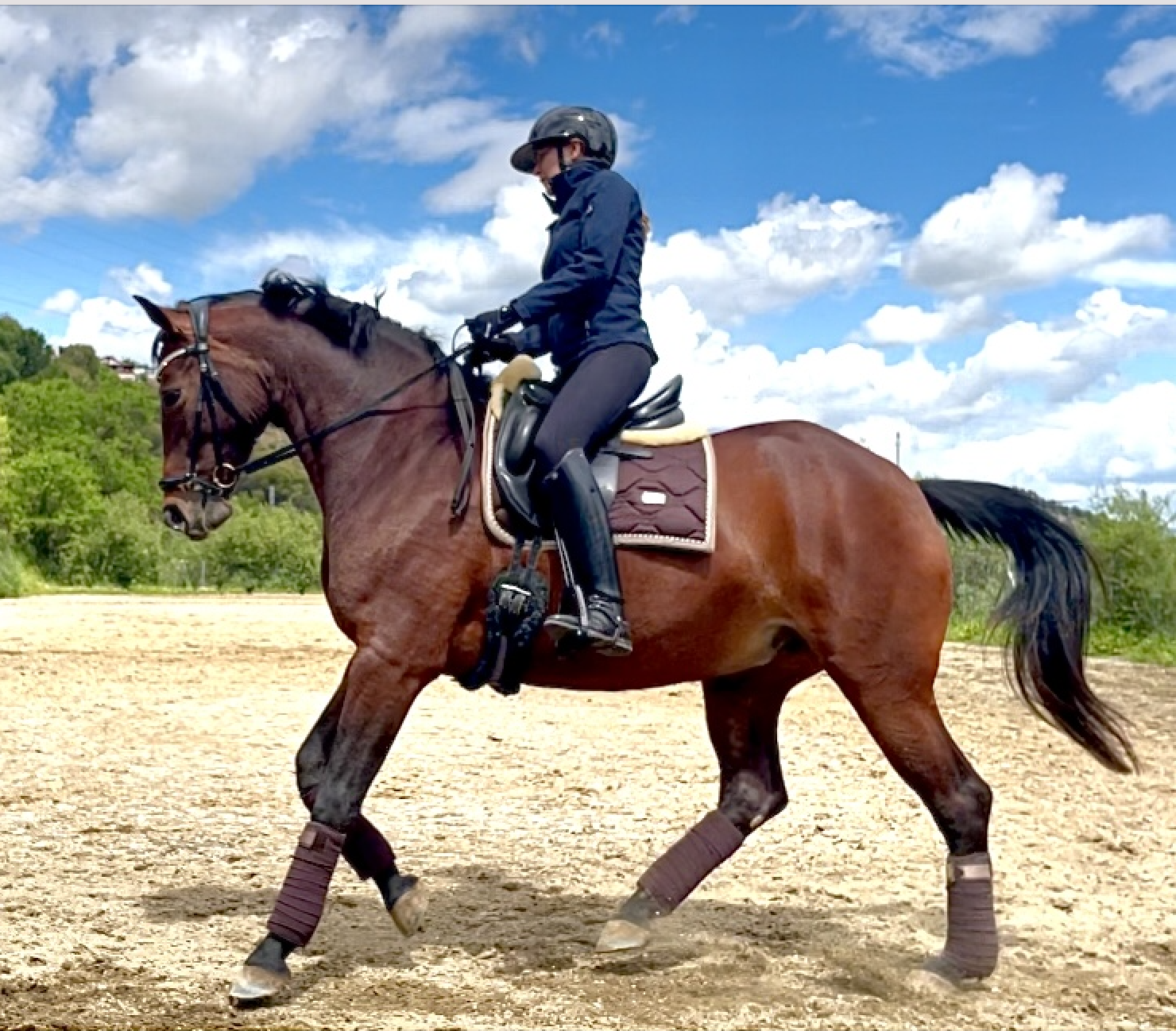 Captura de pantalla 2025-10-28 a las 13.56.15.png