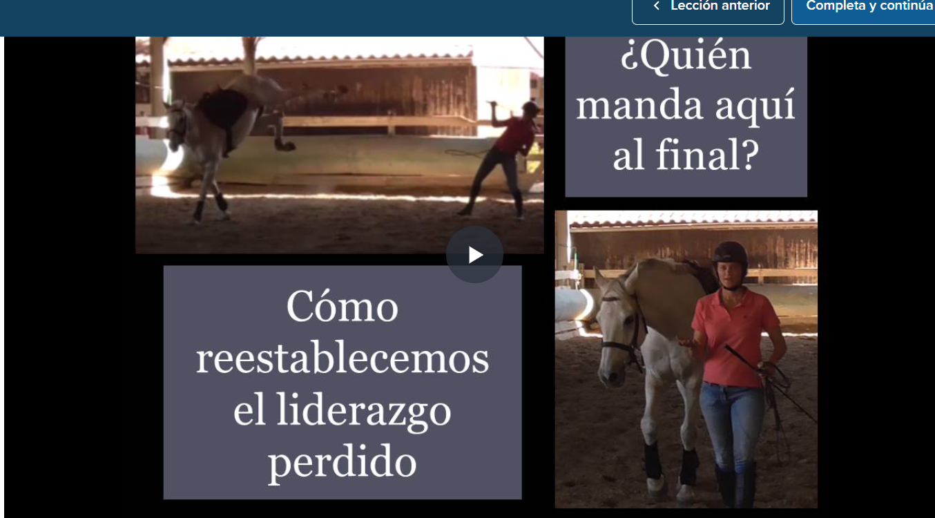 im_reestablecerliderazgo.png