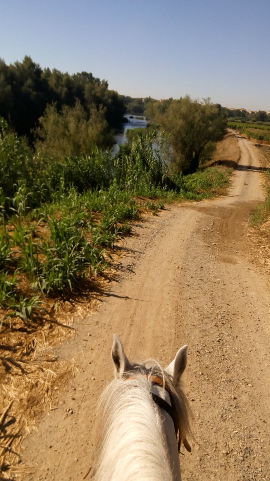 IMG-20170822-WA0003.jpeg