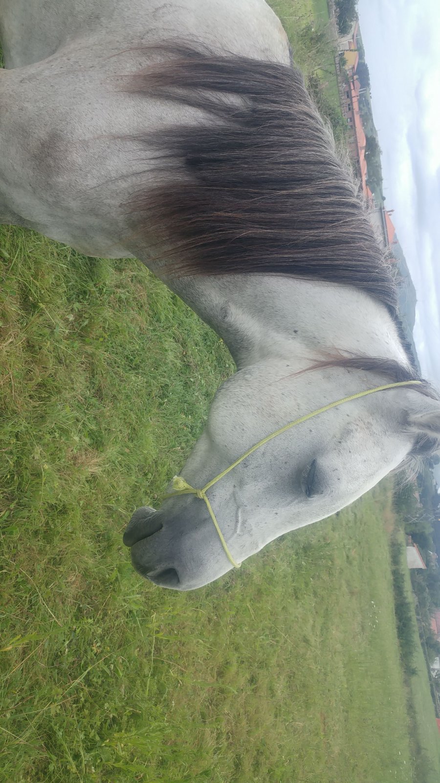 IMG-20170906-WA0070.jpeg