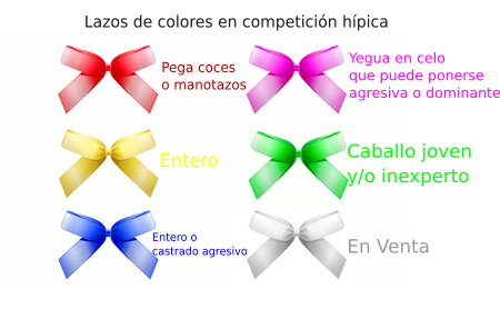 info_lazos_equitacion.png