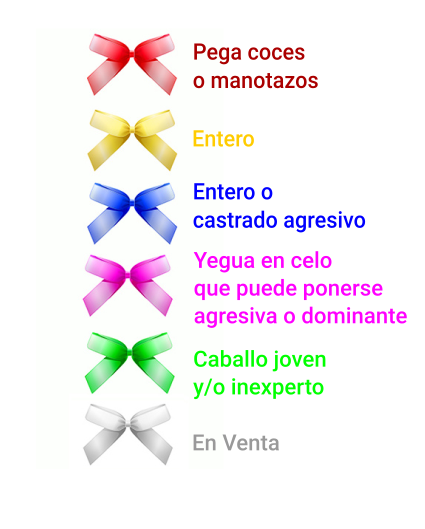 info_lazos_equitacion.png