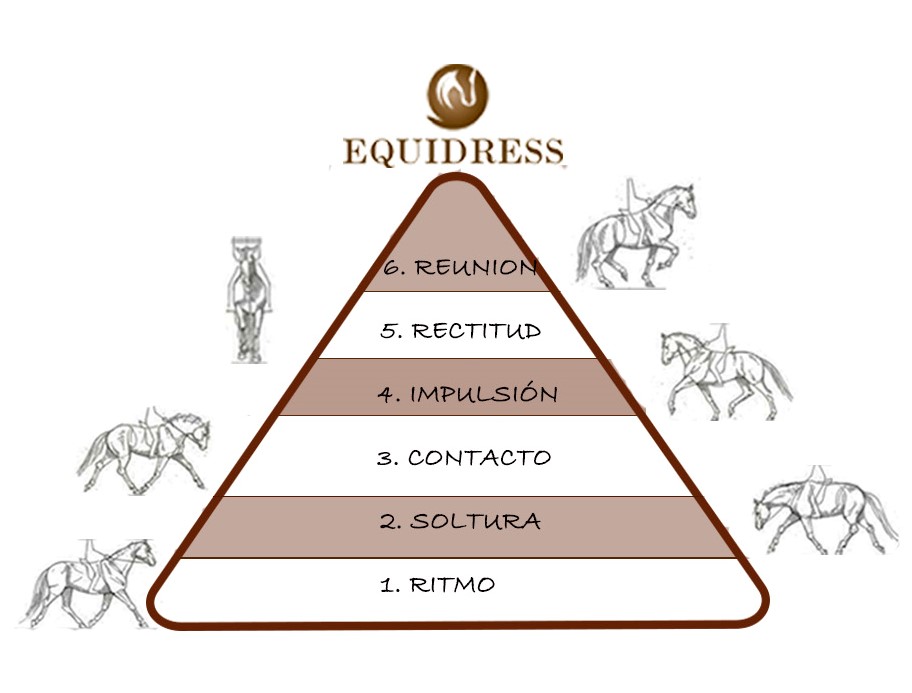 Piramide-escala-ensinistrament-quadrada.jpg