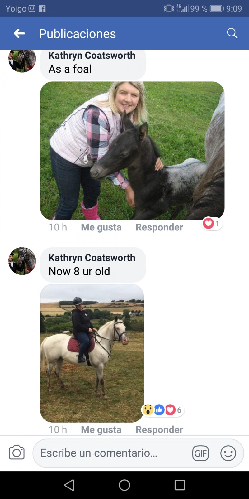 Screenshot_20180921-090942.jpg