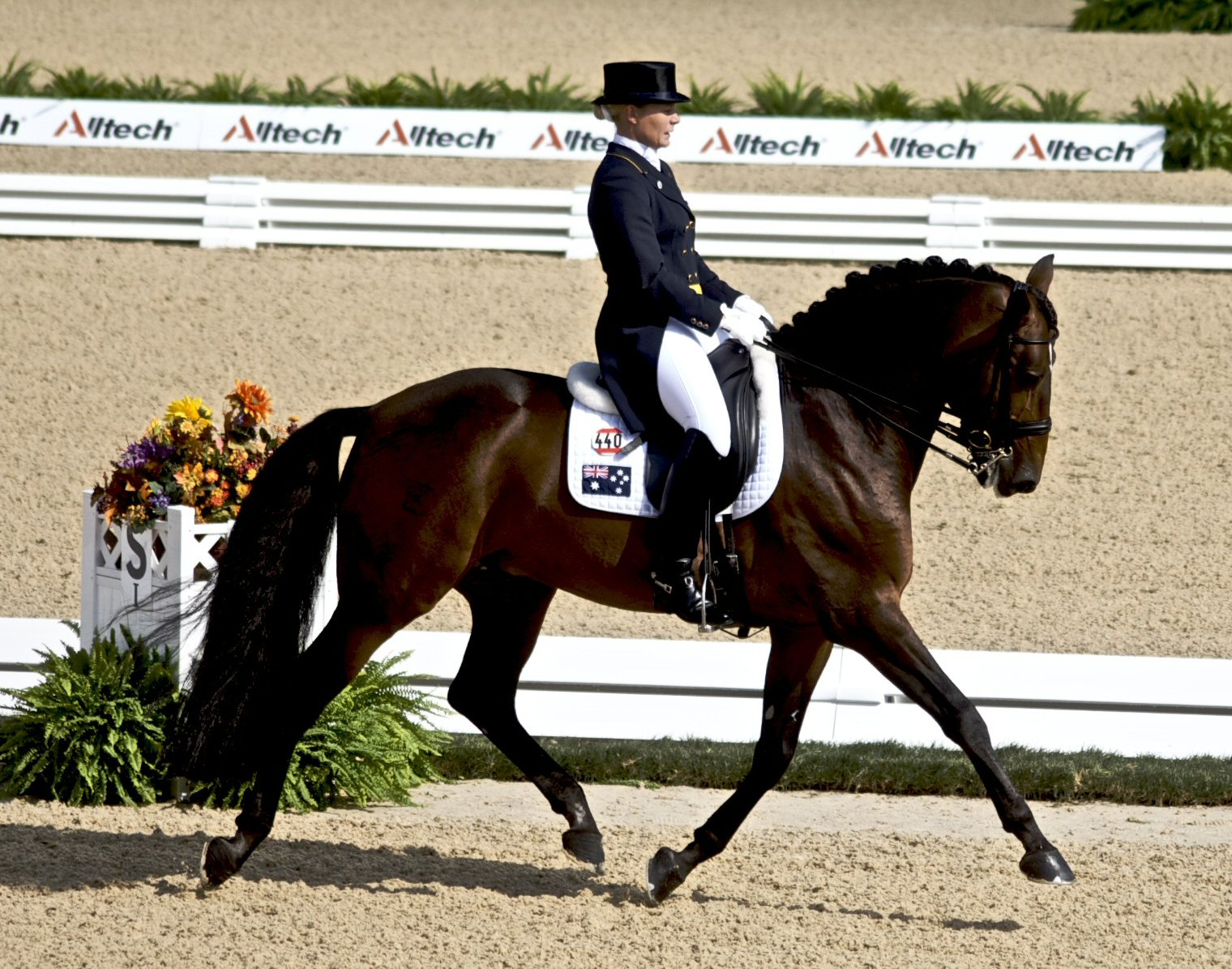 WEG_2010_-_Dressage_Qualifying.jpg