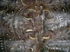 DSCN6122-1.jpg